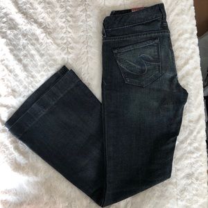 Express X2 Stella Full Leg Denim Jeans